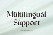 Elimost - Luxury Serif Font, a Serif Font by Flawless And Co (Thumbnail 10 of 10)