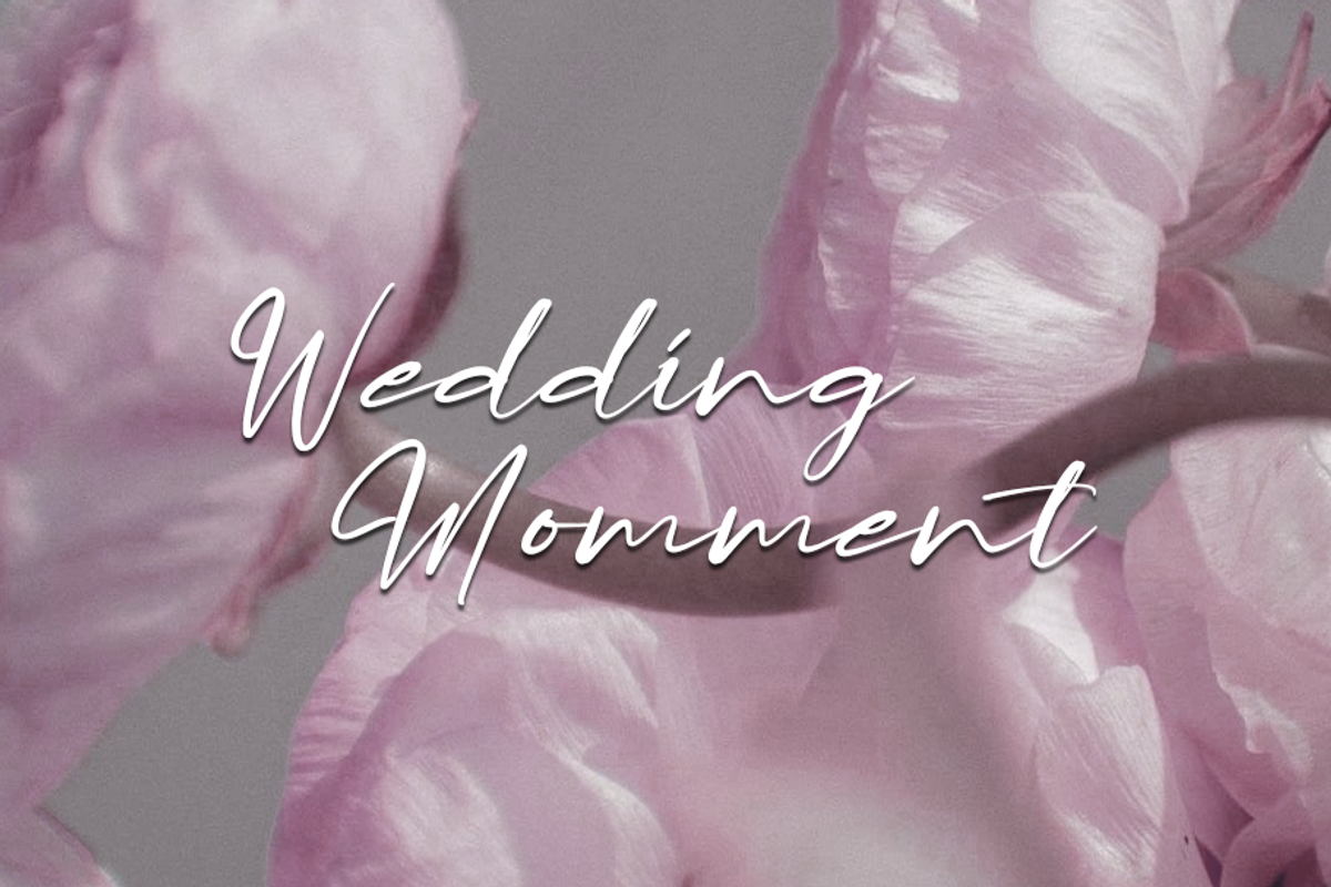 Lapierro Script, a Script Font by GlottaTypeface (Photo 4 of 8)