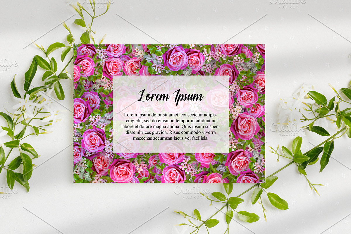 Pink Flower Background, a Background Photo by Digital Studio (Photo 7 of 18)