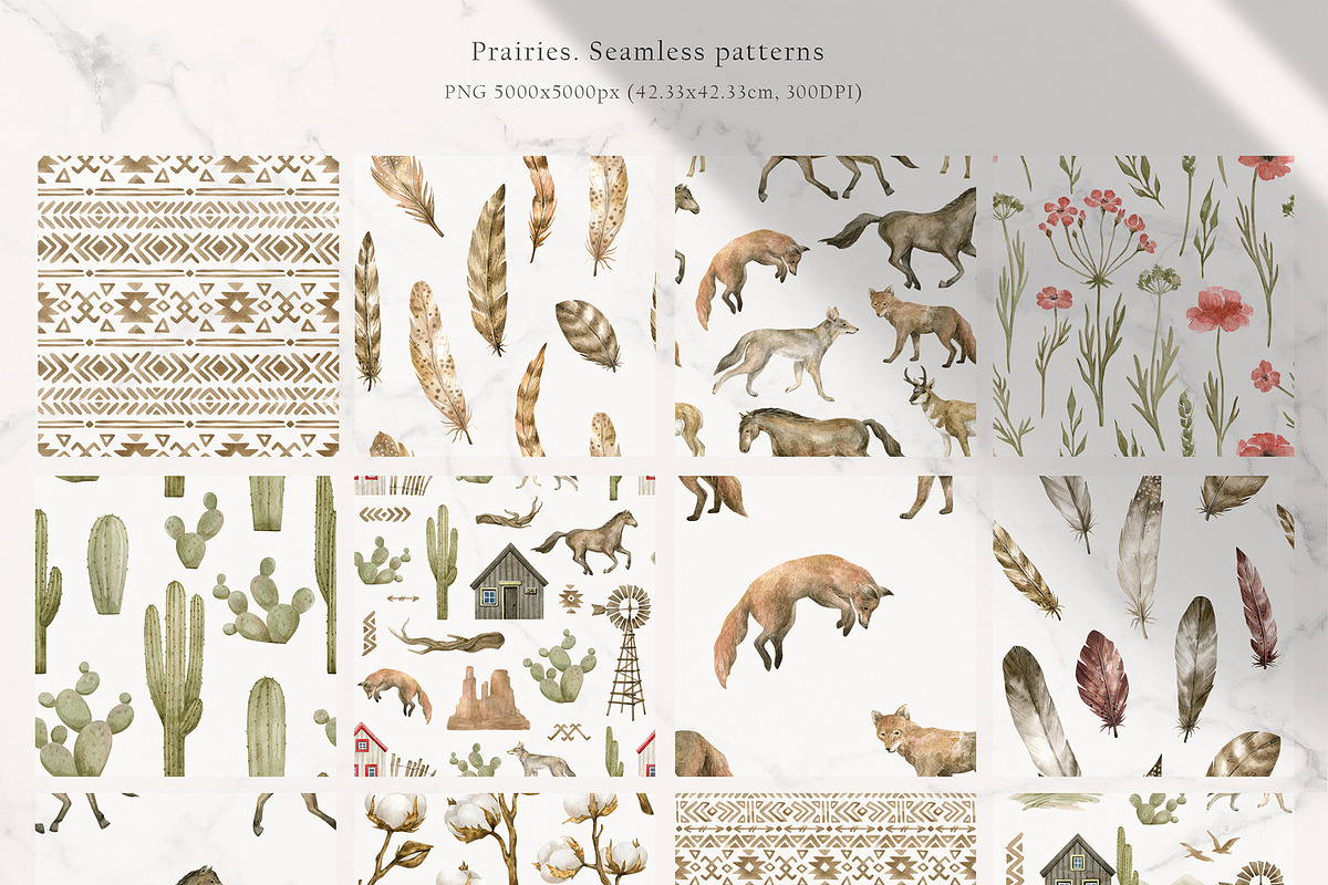 Prairies. American Animals & Nature, an Animal Illustration by Kreker Kate (Photo 8 of 13)