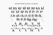 Vurion, a Serif Font by Zafiratype (Thumbnail 10 of 10)
