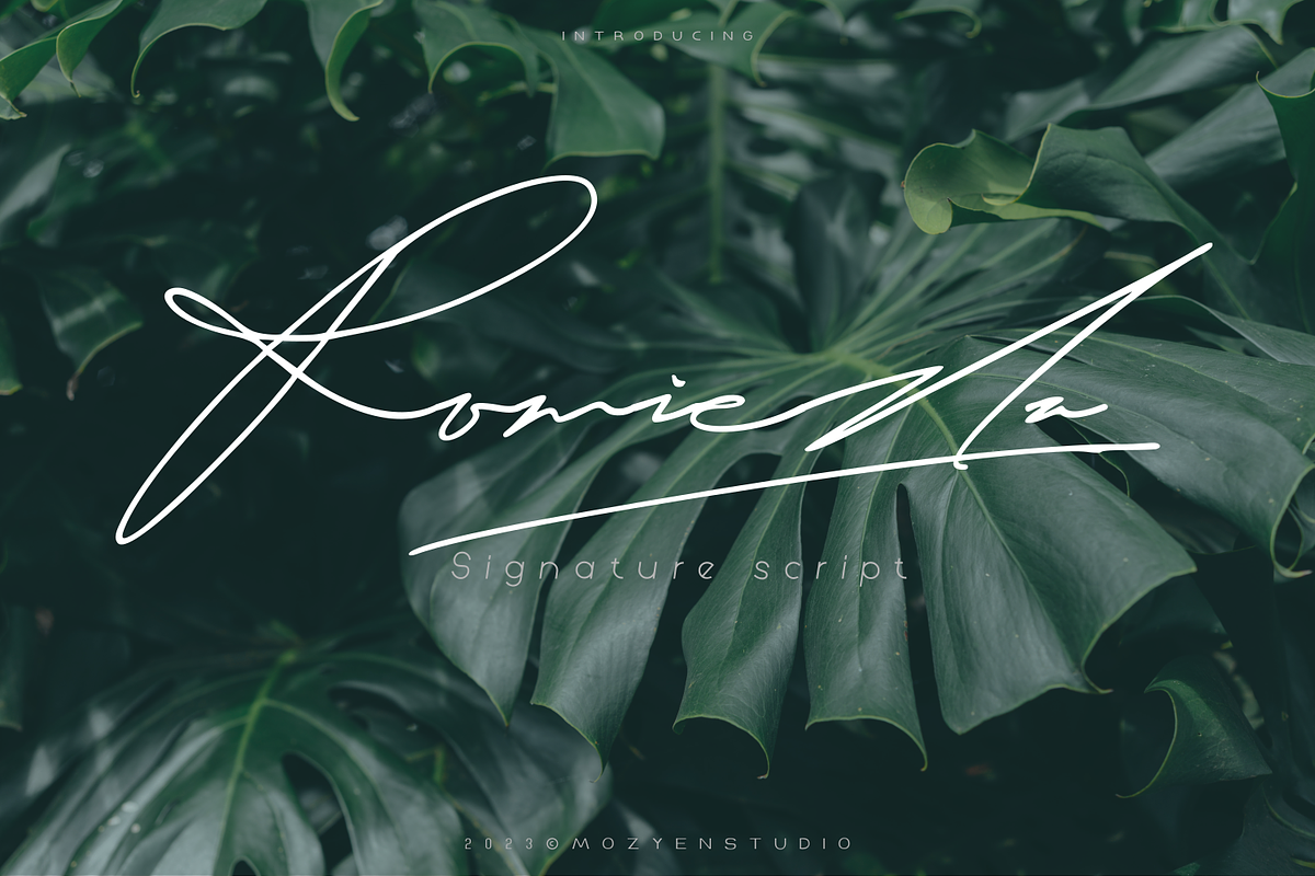 Romieda | Signature Script, a Script Font by Mozyen Studio (Photo 1 of 11)