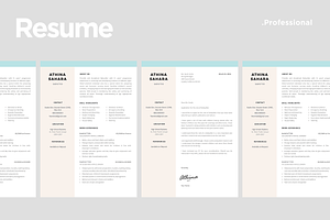 Baby Sitter Resume Template