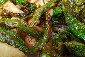 Fried padron peppers on rustic bread, a Food & Drink Photo by DanFLCreativo