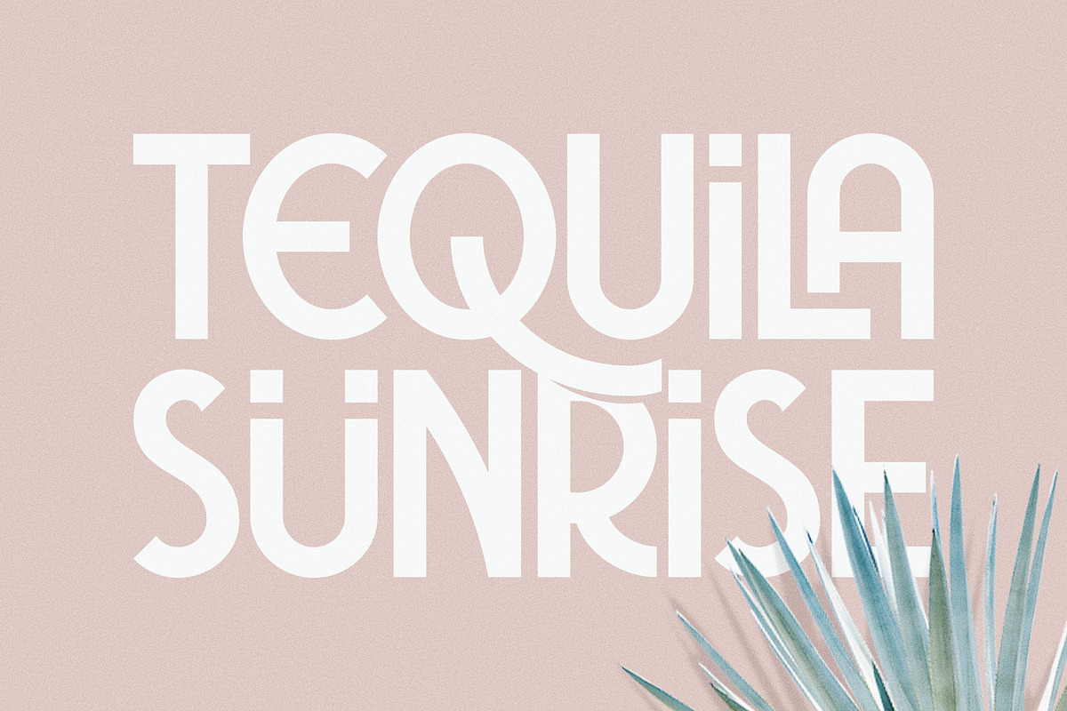 Tawakkal Sans, a Sans Serif Font by Twicolabs Fontdation (Photo 1 of 9)