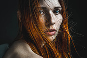 10 Lightroom Presets - Buckingham, an Action Add-On by Preset Bunker (Thumbnail 10 of 11)