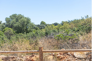 Summer landscape with wooden fence, a Nature Photo by Illustrations&photos