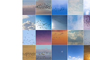 Sky Replacement Bundle for Photoshop, a Preset Add-On by Pix Cafe (Thumbnail 9 of 42)