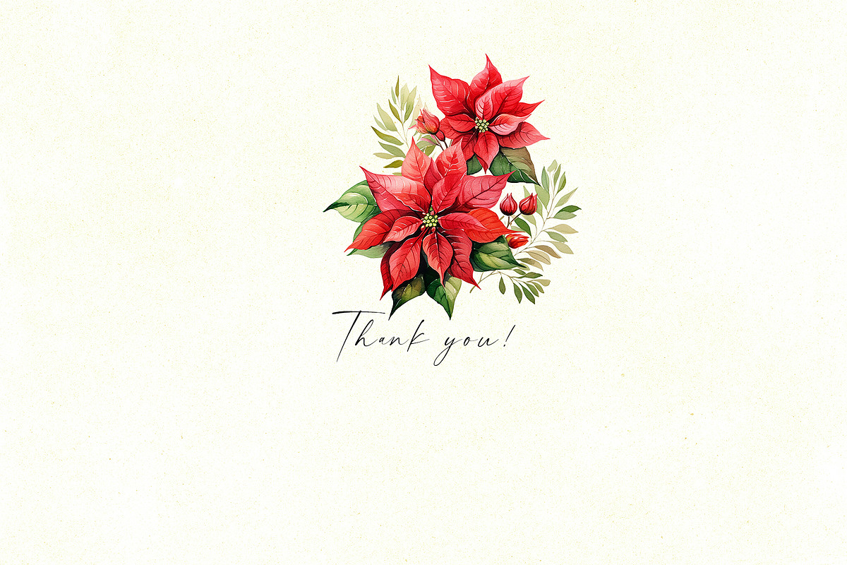 Christmas Poinsettia Bouquets, a Decorative Illustration by Vasmila (Photo 6 of 6)
