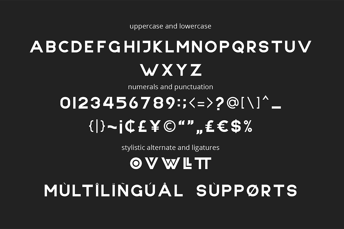 NONLOCAL Modern Sans Serif, a Sans Serif Font by DiosiArt (Photo 7 of 9)