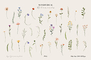 Watercolor Wildflowers Collection, an Object Illustration by Jenteva Art (Thumbnail 17 of 18)
