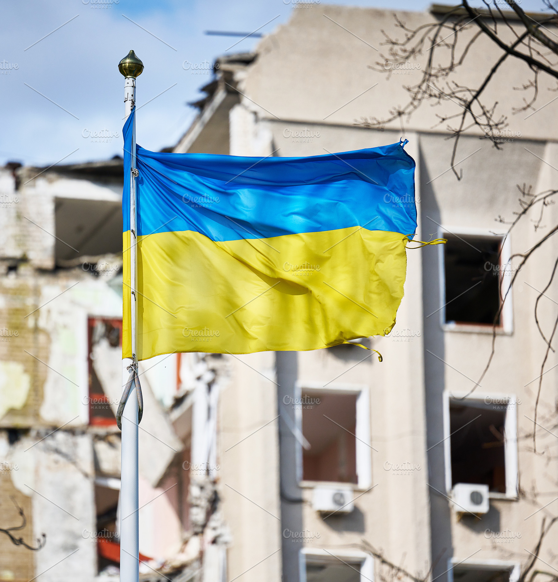 The Ukrainian national flag flutters in the wind against the bac, a Background Photo by ndanko
