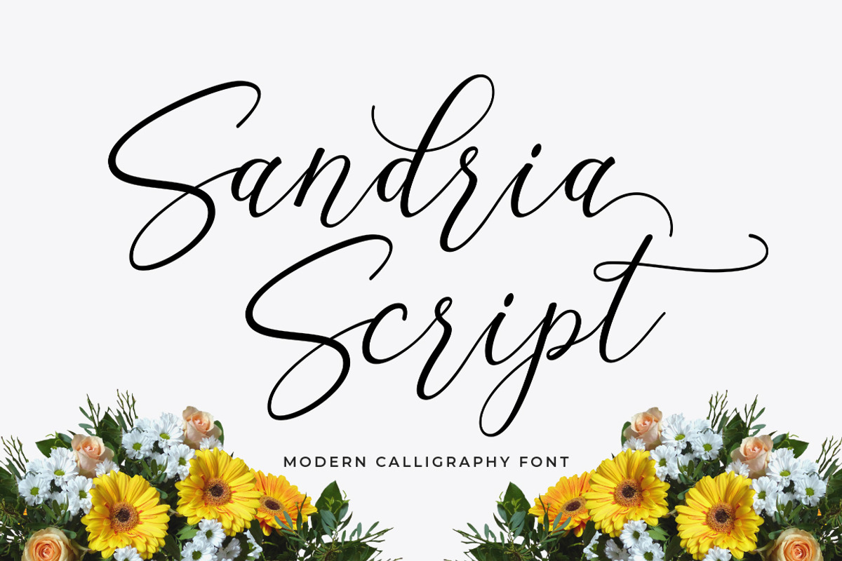 The Beautiful Font Bundle, a Script Font by Attract Studio (Photo 29 of 31)