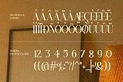 Gerhion - Modern Elegant Luxury, a Serif Font by Qweera Studio (Thumbnail 12 of 12)