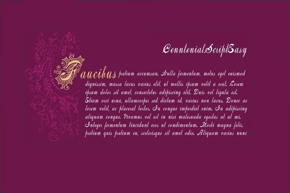 Centennial Script Fancy PACK, a Blackletter Font by Intellecta Design (Photo 4 of 5)