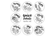 Spices and herbs labels set, a Decorative Illustration by Primula`s shop (Thumbnail 8 of 12)