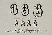 Everlines Victorian Font, a Font by TypeClassHeroes (Thumbnail 7 of 10)