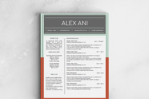 Alex Ani Modern 2-Page Resume