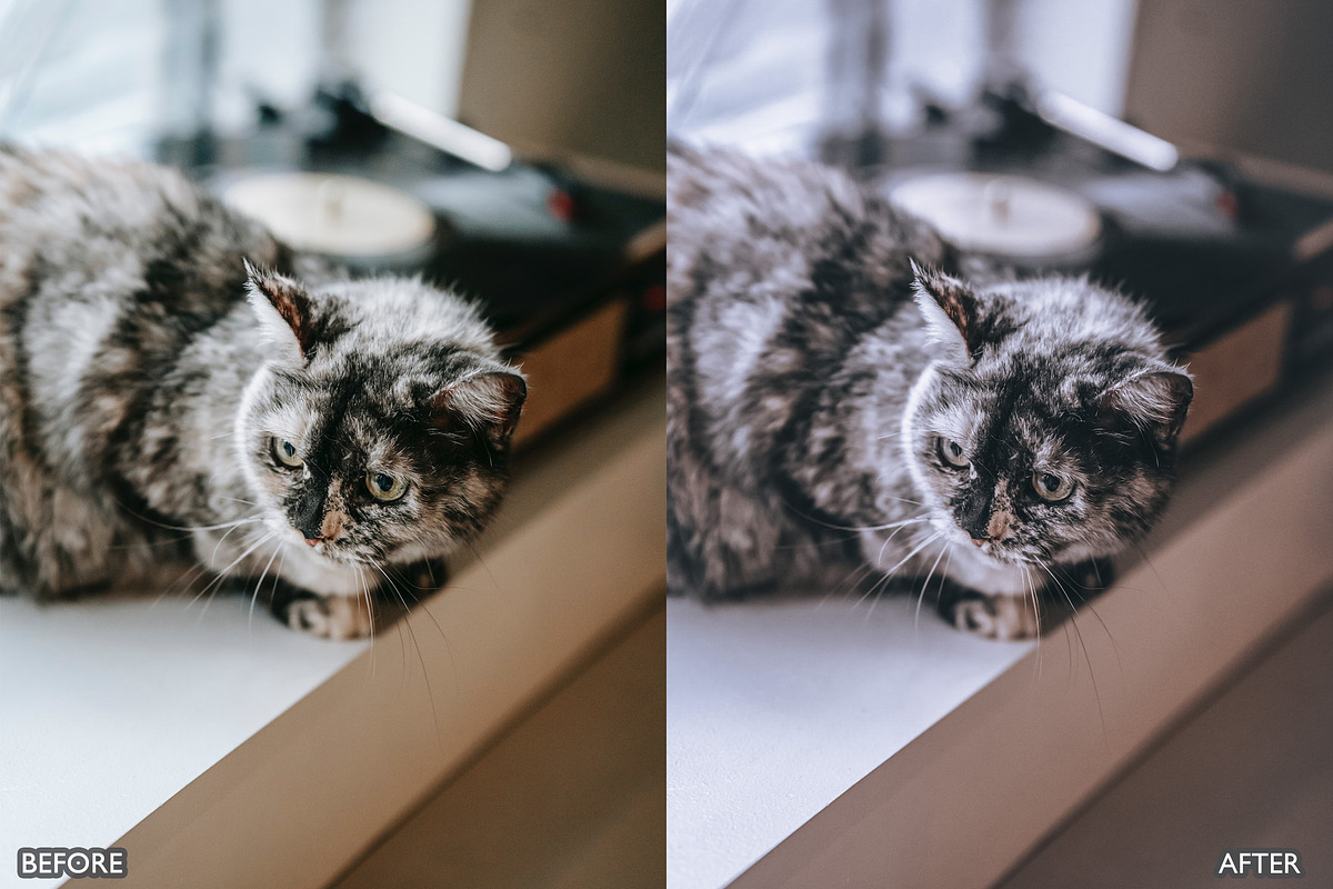 Minimal Lightroom Presets, a Preset Add-On by AAA Presets (Photo 9 of 21)