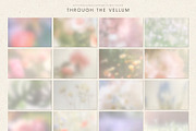 Through the Vellum - Backgrounds, a Background Graphic by Dina Mae (Thumbnail 11 of 13)
