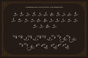 Bristok Lemonade - Cursive Script, a Script Font by Variatype (Thumbnail 15 of 15)