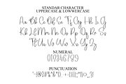 Artistic Signature, a Handwritten Font by FreshTypeINK (Thumbnail 6 of 8)