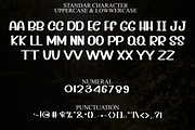 Believe, a Sans Serif Font by FreshTypeINK (Thumbnail 3 of 8)