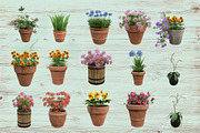 Flowers in pots, a Photo by Tempera (Thumbnail 2 of 2)