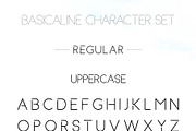Basicaline Font Family - Sans Serif, a Sans Serif Font by RC graphics (Thumbnail 10 of 21)