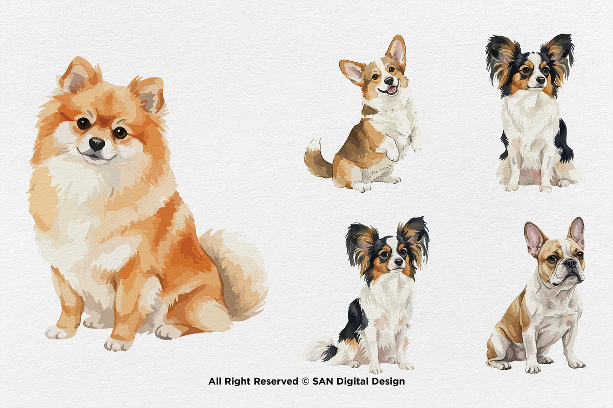 15 Bundle Watercolor Small Dog Pet, an Animal Illustration by Morspective (Photo 6 of 8)