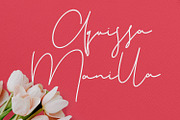 Christie Dianna Valentine Font, a Script Font by Maulana Creative (Thumbnail 2 of 10)