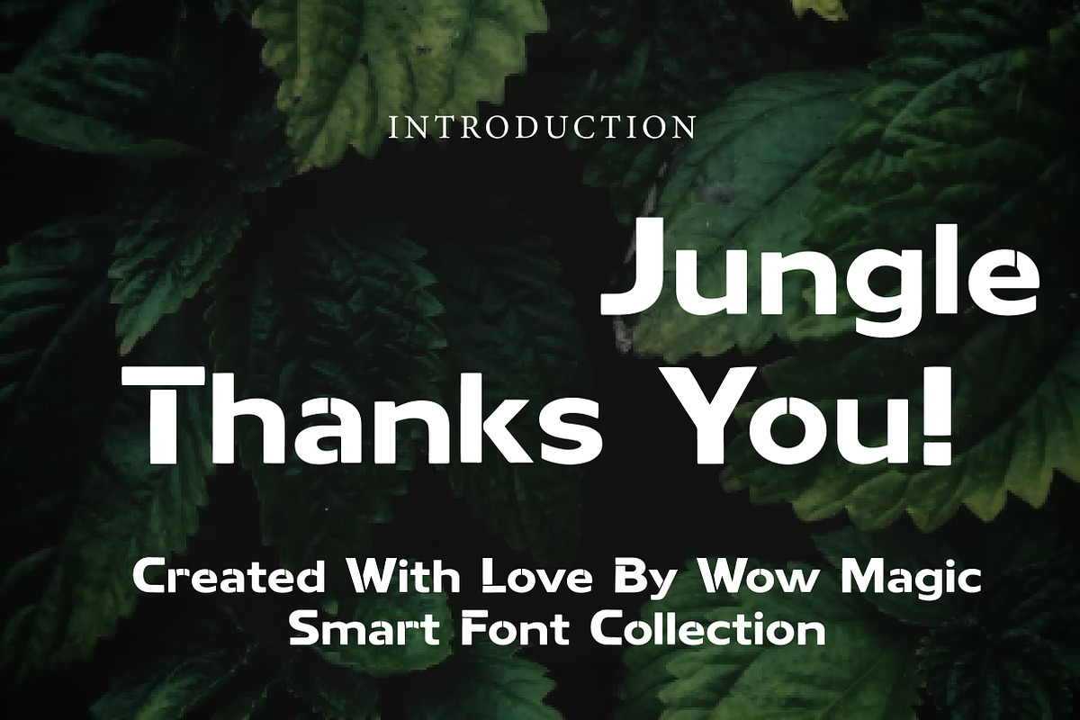 Jungle, a Sans Serif Font by Wow Magic (Photo 3 of 3)