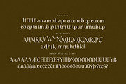 Kiprhany Modern Serif Font, a Serif Font by Letterena Studios (Thumbnail 14 of 15)