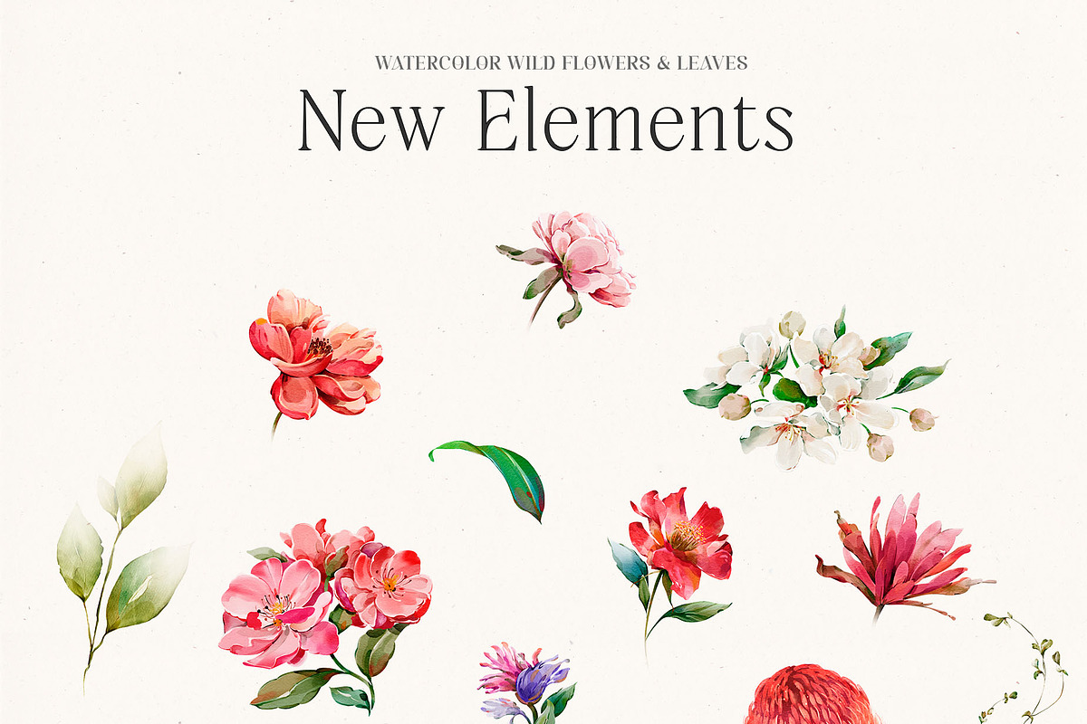 Watercolor Wildflowers & Leaves, a Decorative Illustration by Damian Roh (Photo 5 of 24)