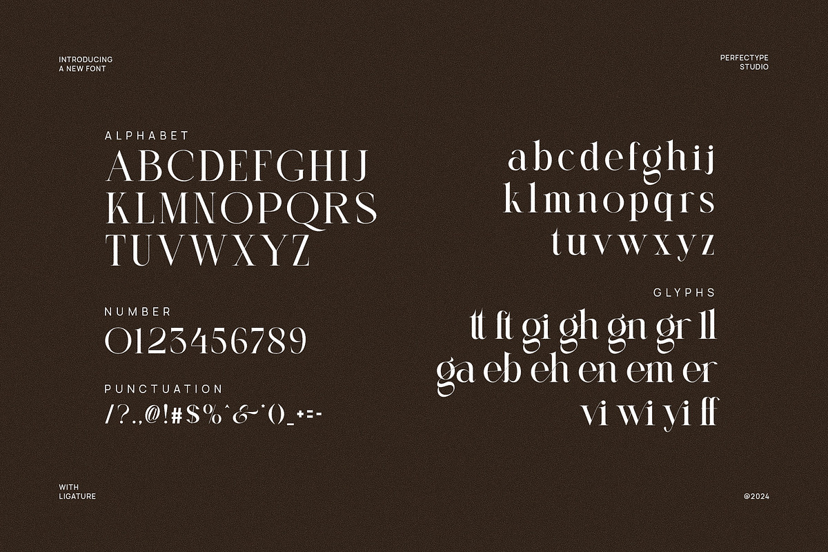 Qeittan Modern Serif Font, a Serif Font by Perfectype (Photo 6 of 6)