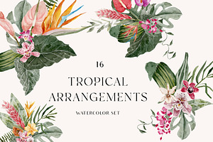 TROPICAL SUMMER- Exotic Flora Set