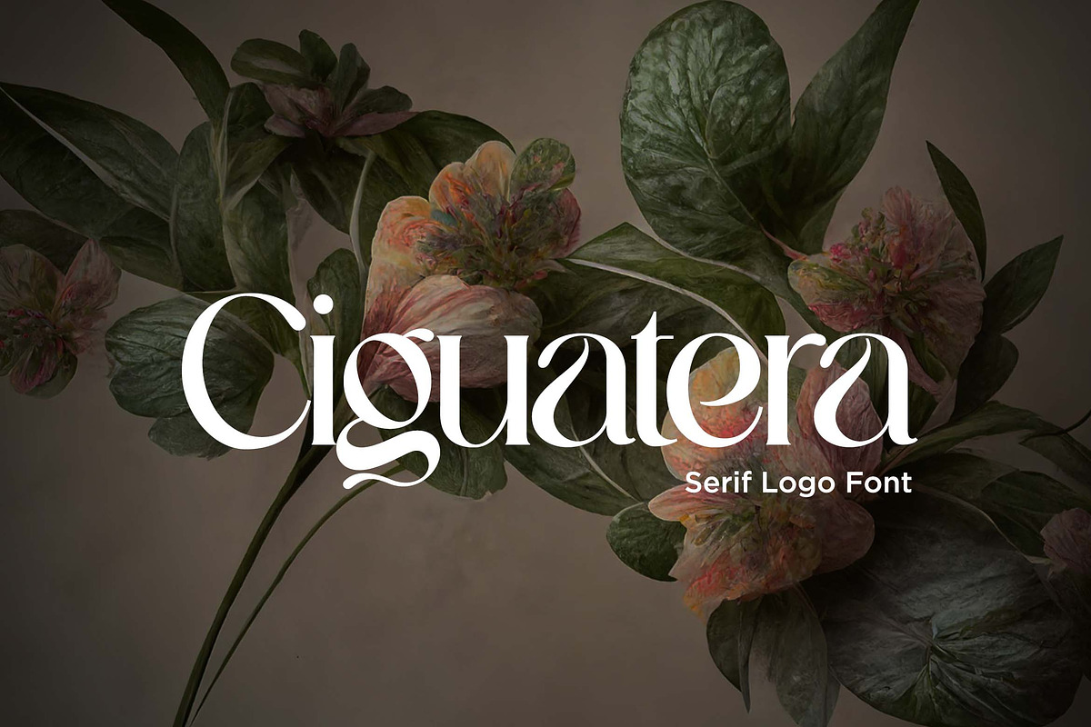 Ciguatera Serif Logo Font, a Serif Font by UICreative (Photo 1 of 13)