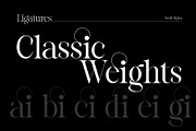 Reichamerina font family, a Serif Font by Ryul Davidson (Thumbnail 17 of 27)