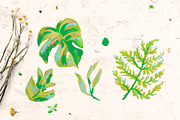 Crayon Botanical Leaves Clipart Set, a Decorative Illustration by Lucyinyourheart (Thumbnail 2 of 3)