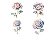 Watercolor Luxury Floral Clipart, a Decorative Illustration by ForhadGFX (Thumbnail 12 of 13)