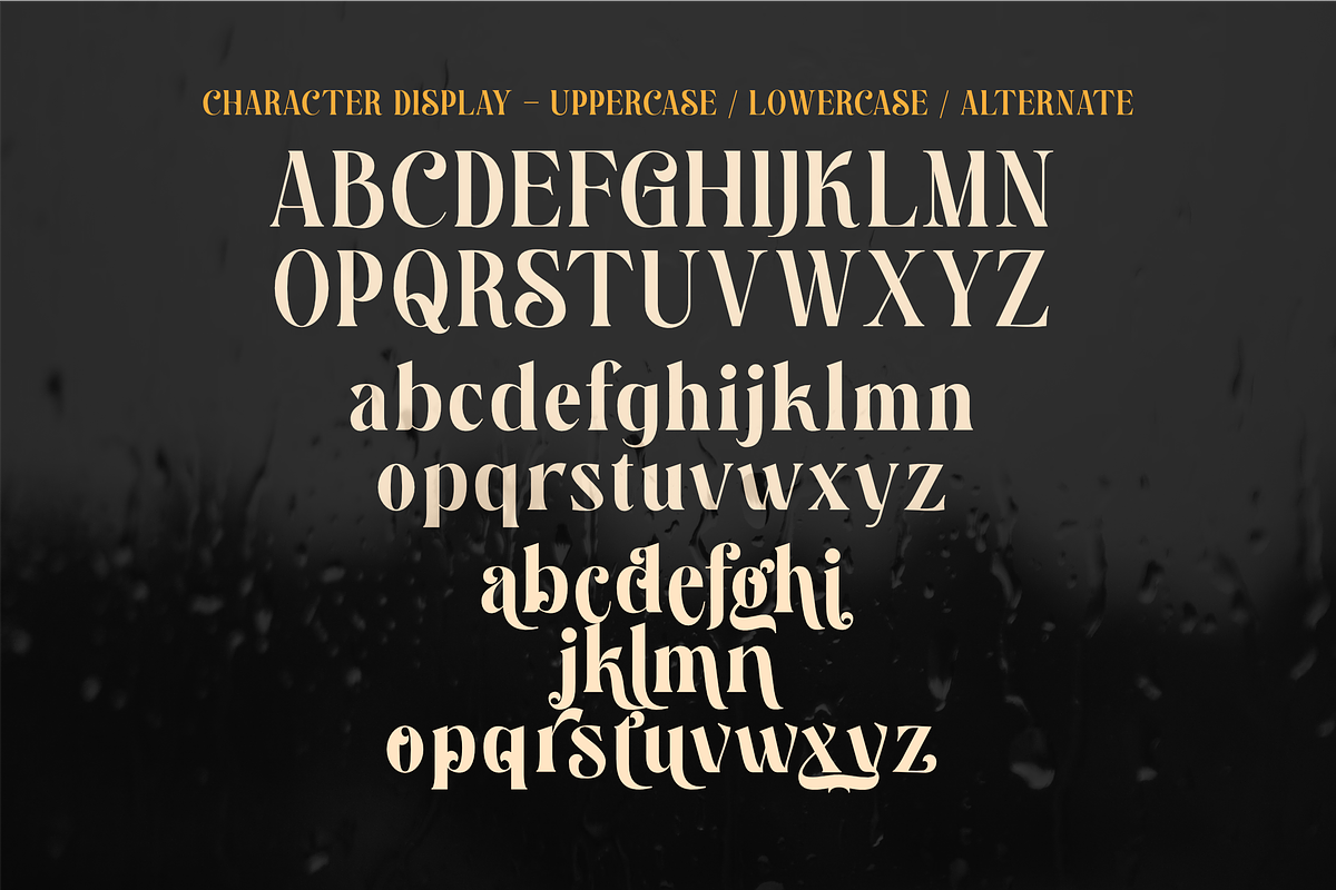 Endbrium - A Modern Serif Display, a Serif Font by zamjumps (Photo 10 of 12)
