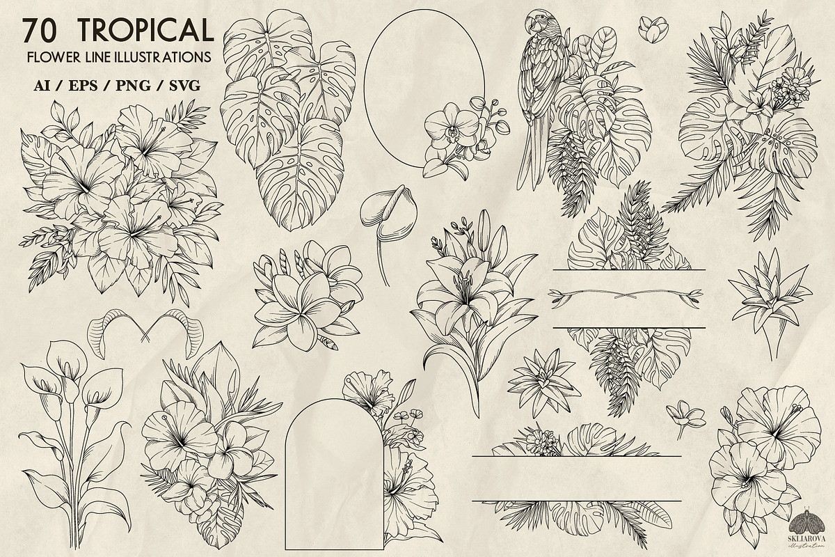 Tropical floral line art + Procreate, a Decorative Illustration by Skliarova (Photo 2 of 4)