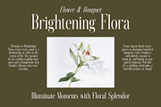 Sebastian Moreta Family Serif Font, a Serif Font by Graphicxell (Thumbnail 6 of 8)