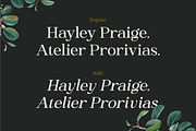 Heading South | Retro serif, a Serif Font by ClevUs (Thumbnail 3 of 14)