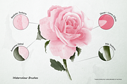 Watercolour for Procreate, a Brush Add-On by BrushUp (Thumbnail 2 of 8)