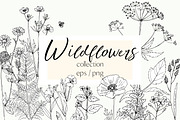Wildflowers and herbs line sketch, a Decorative Illustration by irina.vaneeva (Thumbnail 1 of 10)