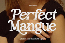 Perfect Mangue | Serif Duo Font
