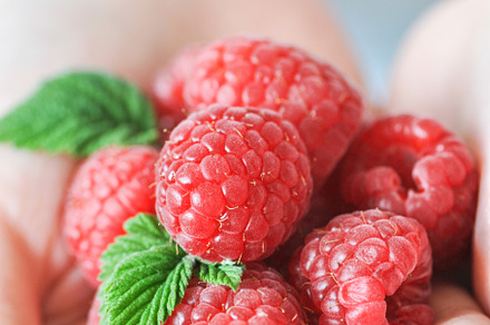 Heap of fresh ripe raspberries., a Food & Drink Photo by Galiyah Assan