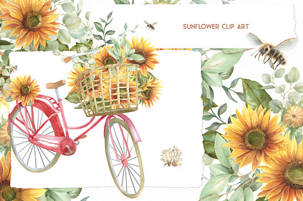 Watercolor sunflower clipart, a Seasonal Illustration by WonderWonder