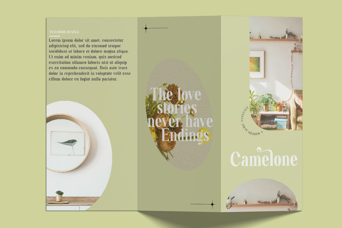 Dellonia, a Serif Font by Gatype (Photo 4 of 10)